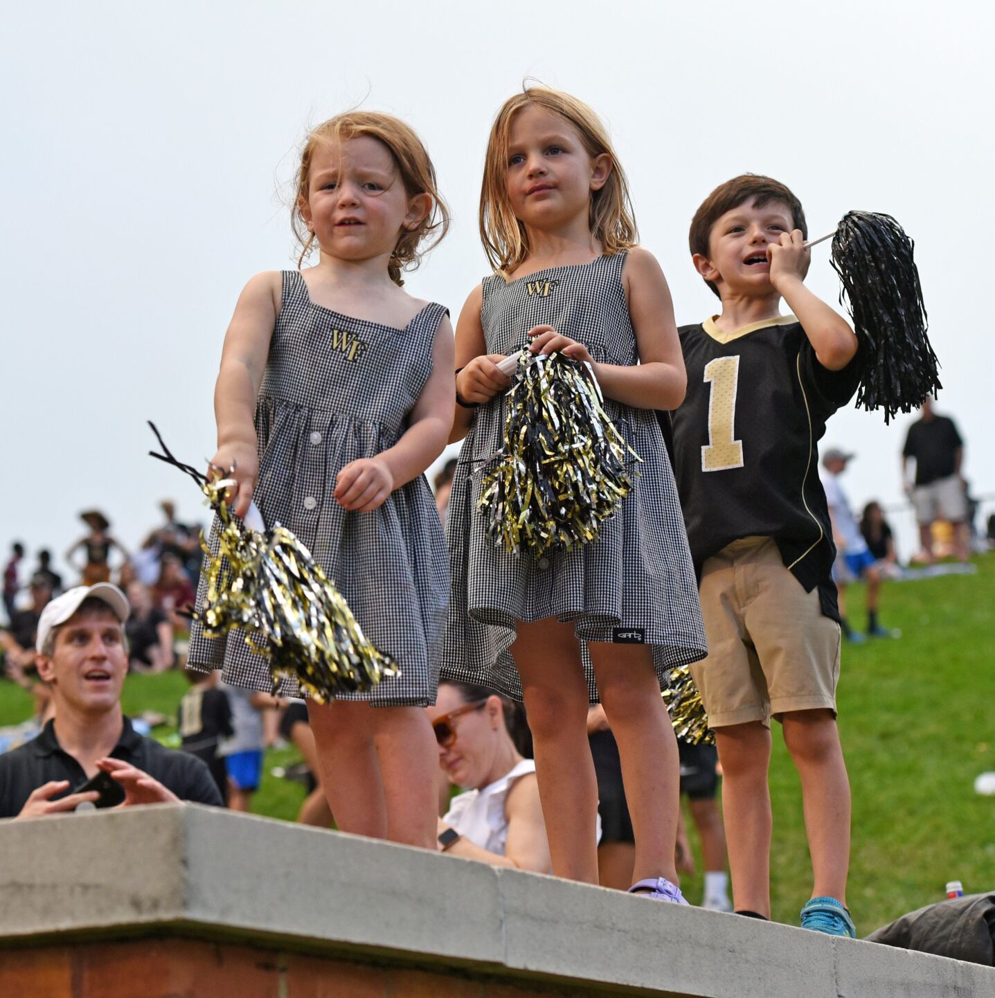 Florida State Wake Forest football